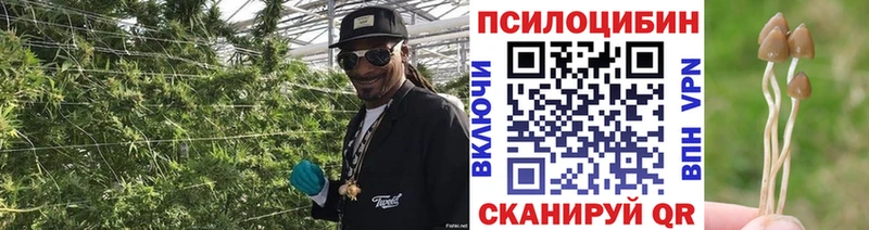 наркошоп  Соликамск  Галлюциногенные грибы Magic Shrooms 